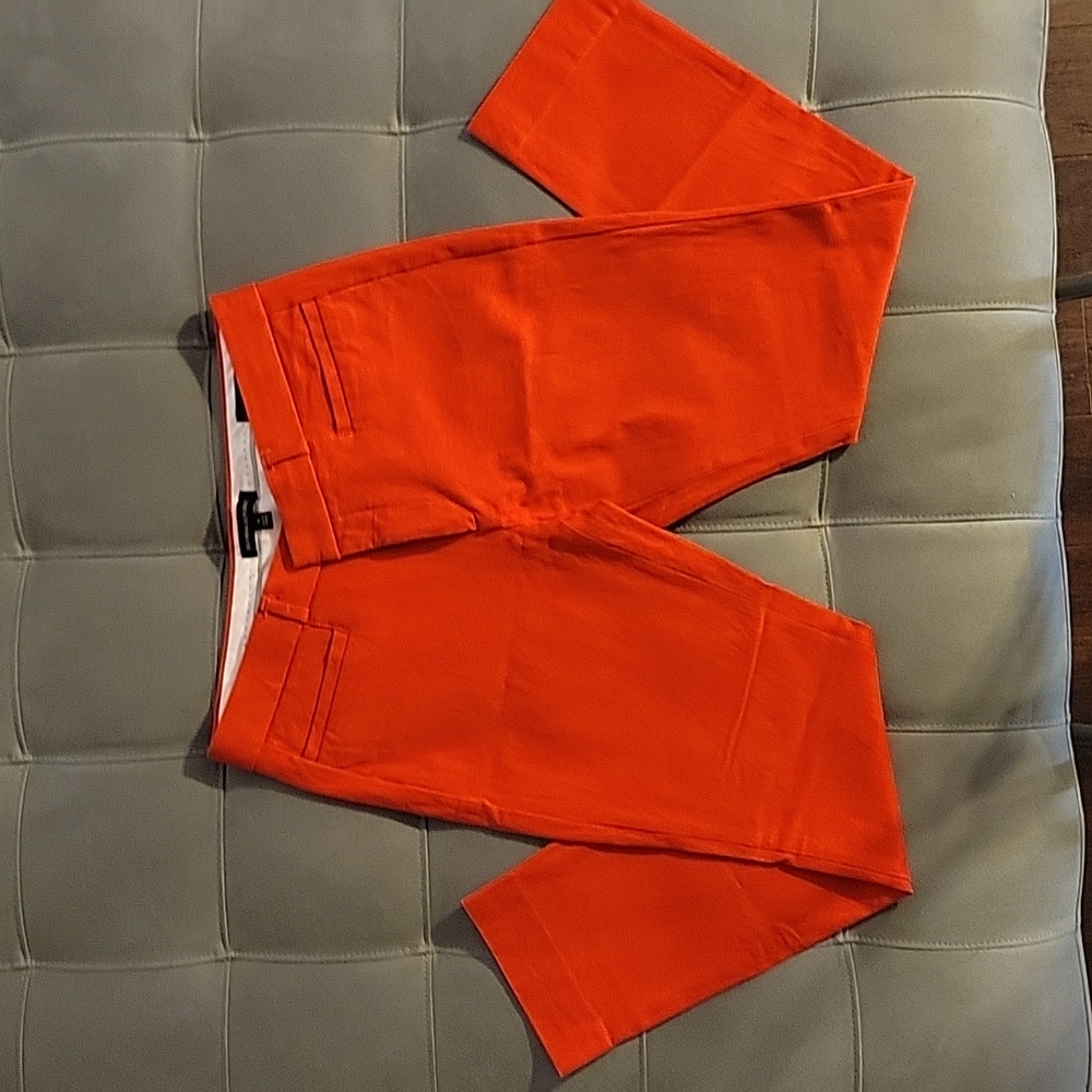 Gorgeous Color Pants - Picture 2 of 3